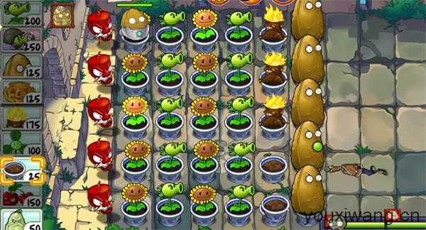 植物大战僵尸精华版最新版 植物大战僵尸精华版最新版