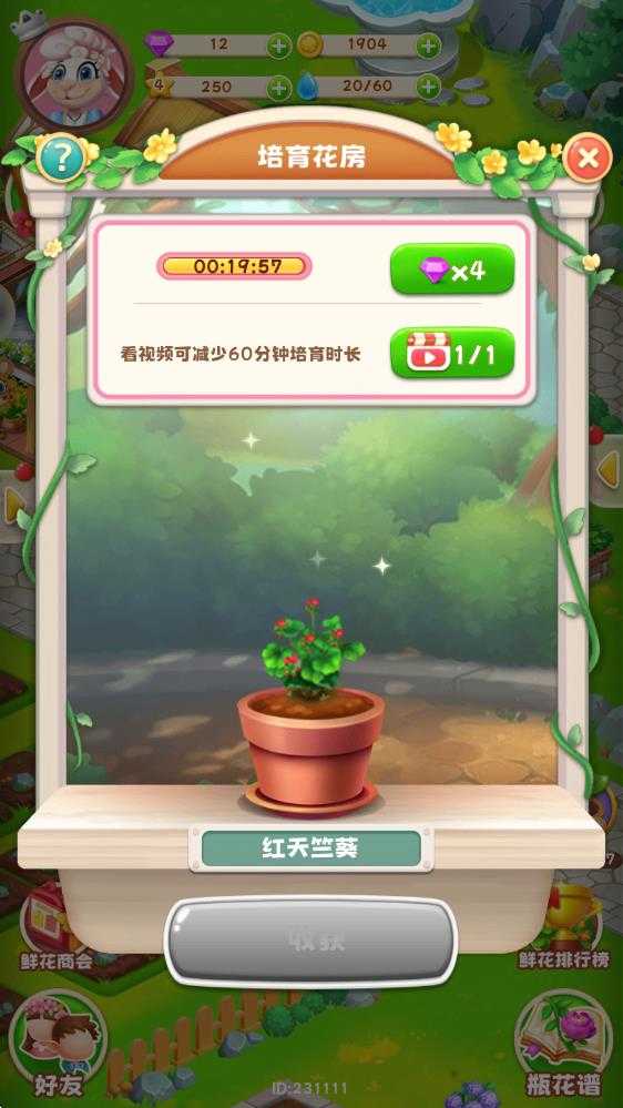 动物花店 动物花店