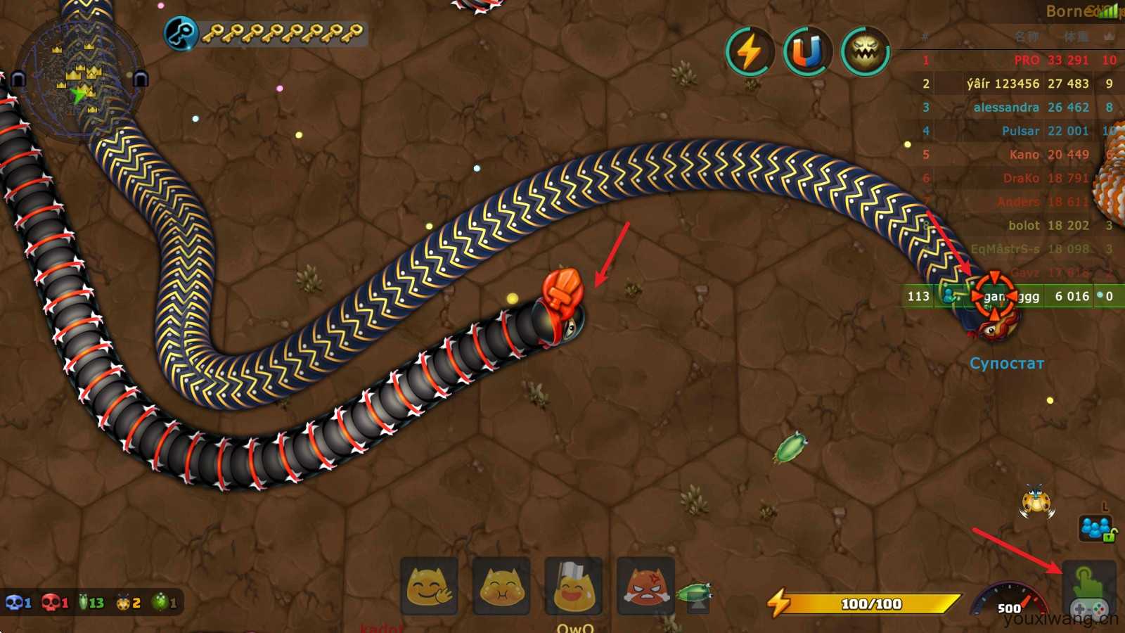 小小巨蛇 小小巨蛇