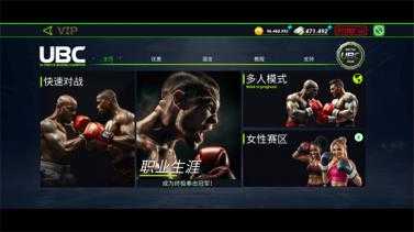 终极拳击冠军 终极拳击冠军