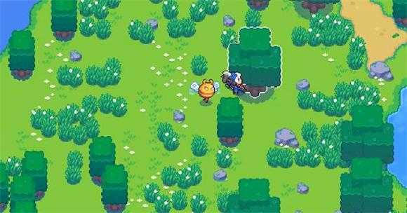 月光石岛 月光石岛