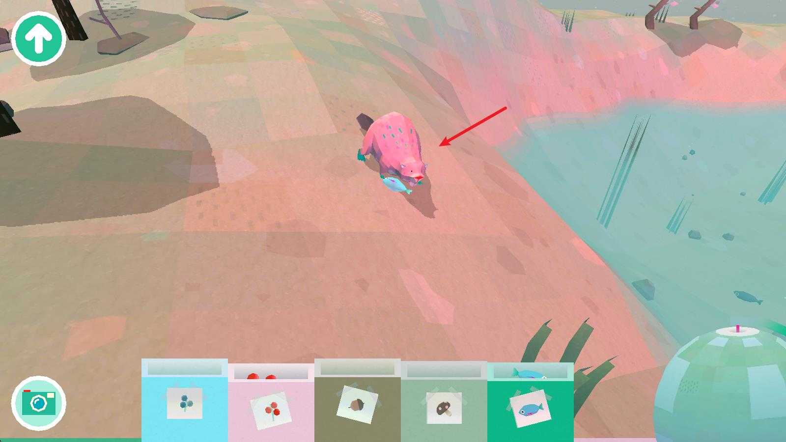 托卡大自然 托卡大自然