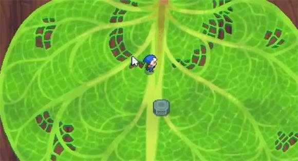 月光石岛 月光石岛