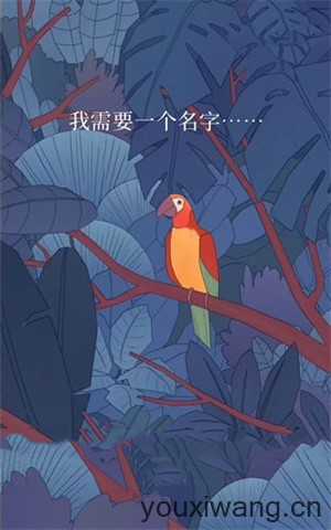 孤独的鸟儿最新版