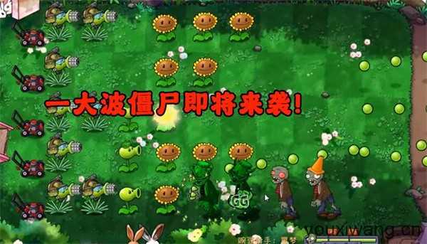 PVZ共生版 PVZ共生版