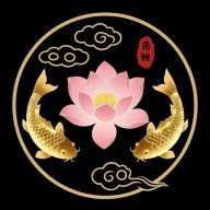 荷花锦鲤壁纸
