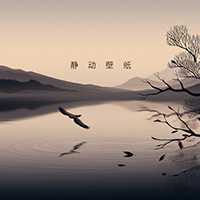 静动壁纸