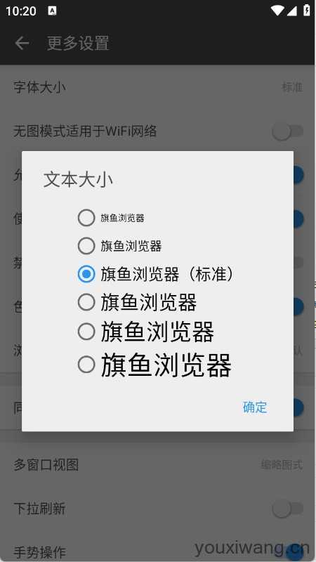 旗鱼浏览器 旗鱼浏览器