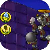 植物大战僵尸蝶版