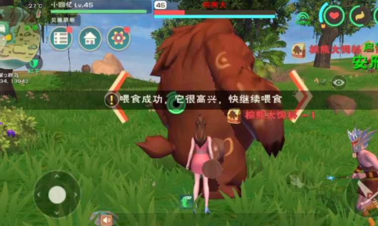 创造与魔法熊怎么训 创造与魔法熊怎么训