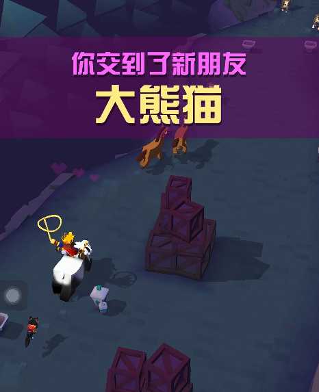 疯狂动物园有什么熊