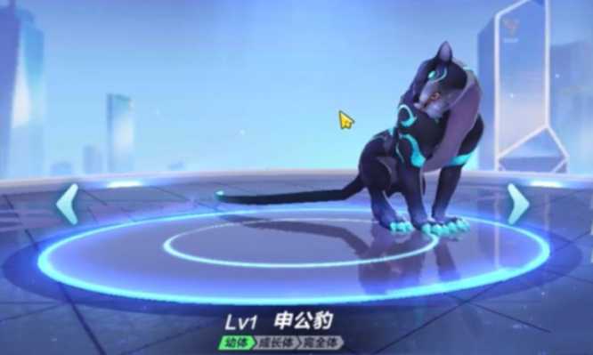 qq飞车宠物买哪个 qq飞车宠物买哪个