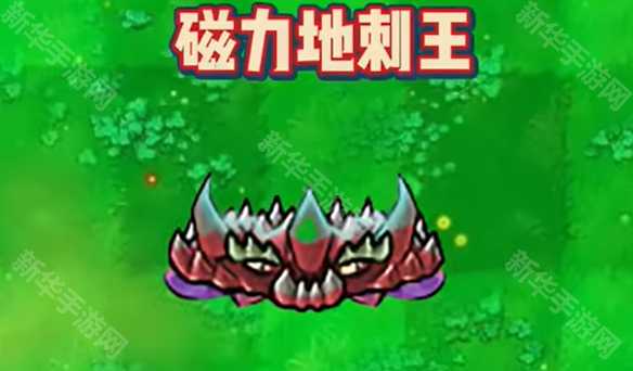 《植物大战僵尸杂交版》新植物磁力地刺王介绍 《植物大战僵尸杂交版》新植物磁力地刺王介绍