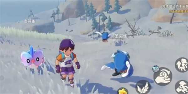 洛克王国世界冬羽雀进化条件汇总