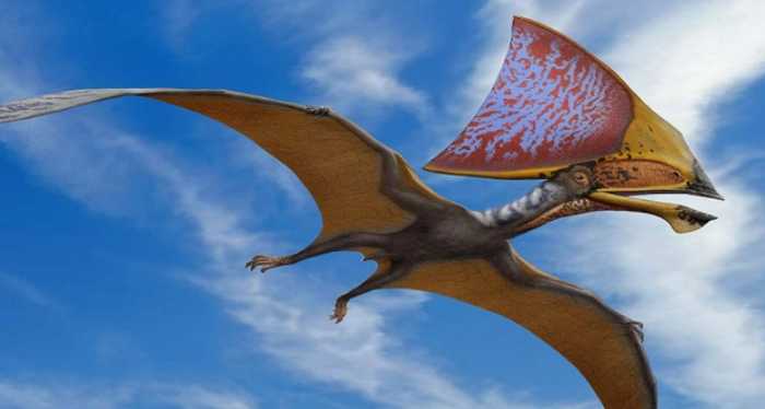 方舟生存进化古神翼龙吃什么驯服 方舟生存进化古神翼龙吃什么驯服