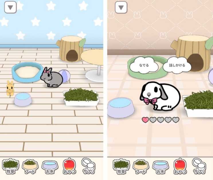 兔子养成游戏《兔兔相随》展开预约活动 玩游戏学习兔子相关知识