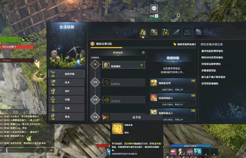 失落的方舟生活技能采集怎么加点 失落的方舟生活技能采集怎么加点