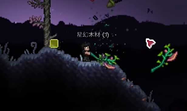 泰拉瑞亚肉山鱼怎么钓