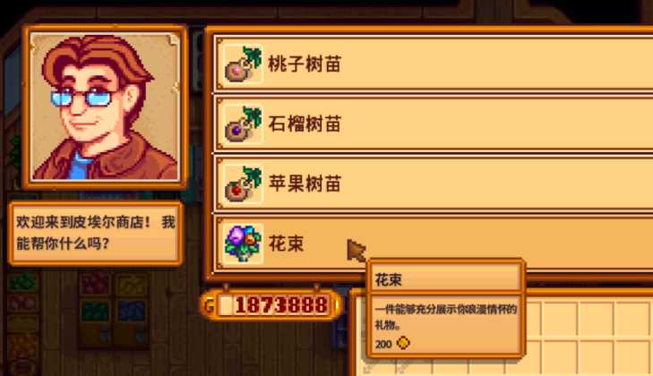 星露谷物语怎么跟潘妮结婚