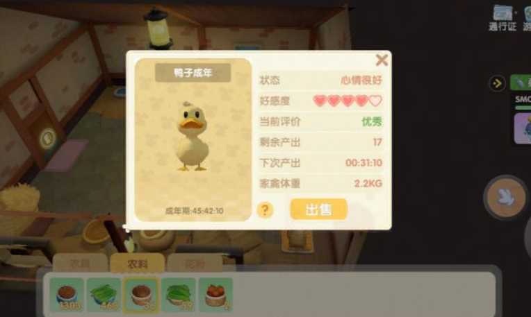 摩尔庄园牧场怎么喂鸭子 摩尔庄园牧场怎么喂鸭子