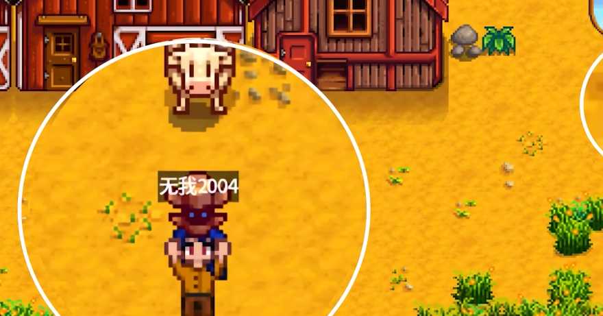 星露谷物语宝石鸟需要什么宝石