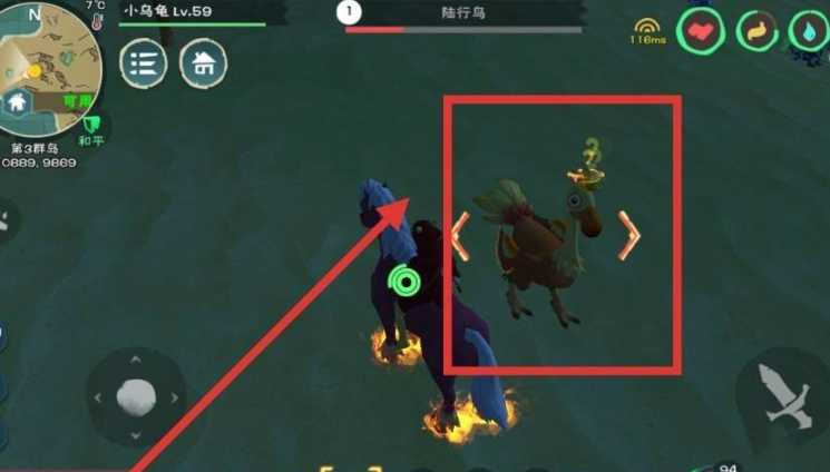 创造与魔法鸵鸟在哪里找到 创造与魔法鸵鸟在哪里找到