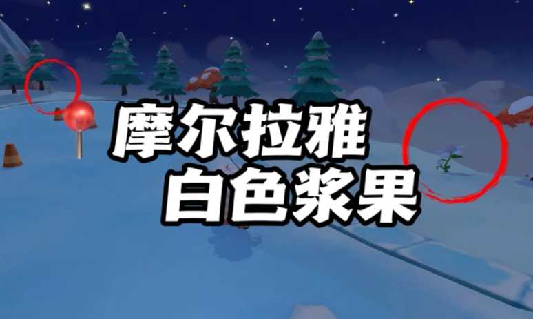 摩尔庄园怎么获取白浆果