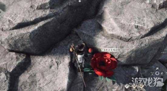 燕云十六声花魁任务怎么过 花魁任务流程攻略