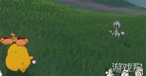 洛克王国世界菊花梨怎么配招 菊花梨配招攻略