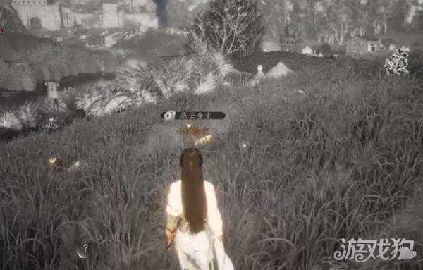 燕云十六声鹖尾怎么刷 鹖尾速刷攻略 燕云十六声鹖尾怎么刷 鹖尾速刷攻略