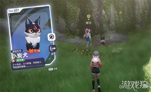 伊莫前期宠物怎么选 前期宠物选择推荐