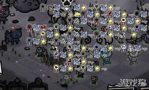 喵喵的结合德鲁伊松鼠流派怎么玩 德鲁伊松鼠流派玩法教学