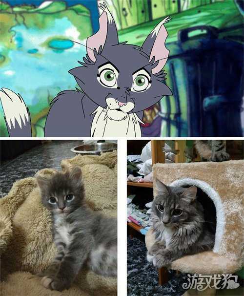 【游·见】专访Valhalla Cats：在废城画卷中，绘出一段爪间的温暖史诗