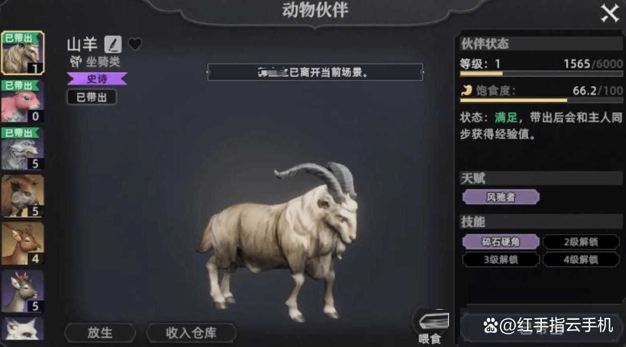 荒原曙光五大实用宠物推荐