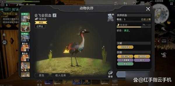 荒原曙光五大实用宠物推荐