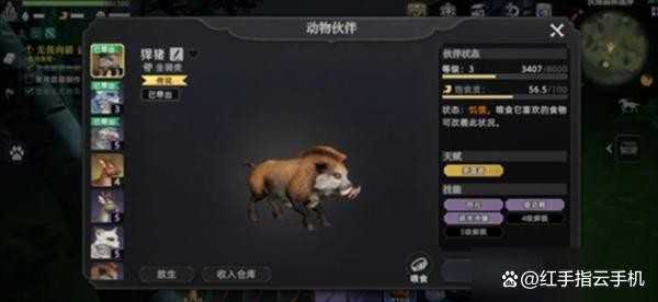 荒原曙光五大实用宠物推荐