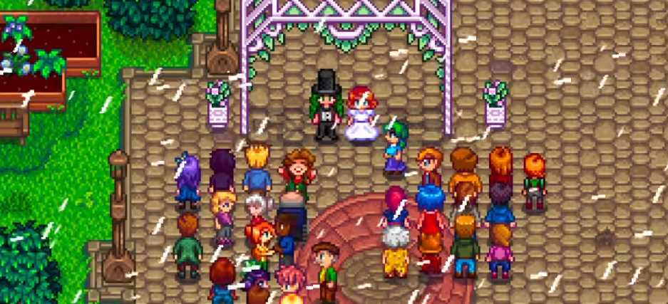 星露谷物语怎么结婚要几级房子 星露谷物语怎么结婚要几级房子