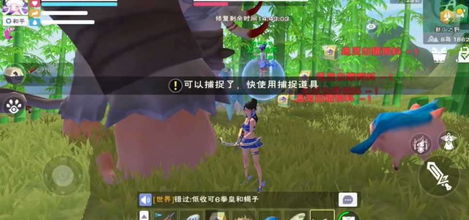 创造与魔法猿猴的饲料怎么得 创造与魔法猿猴的饲料怎么得