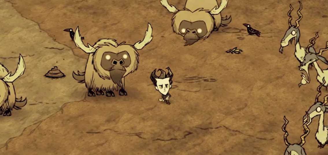 饥荒适合建家的地方是哪里 饥荒适合建家的地方是哪里