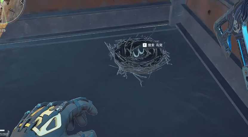 三角洲行动井盖鸟窝有什么