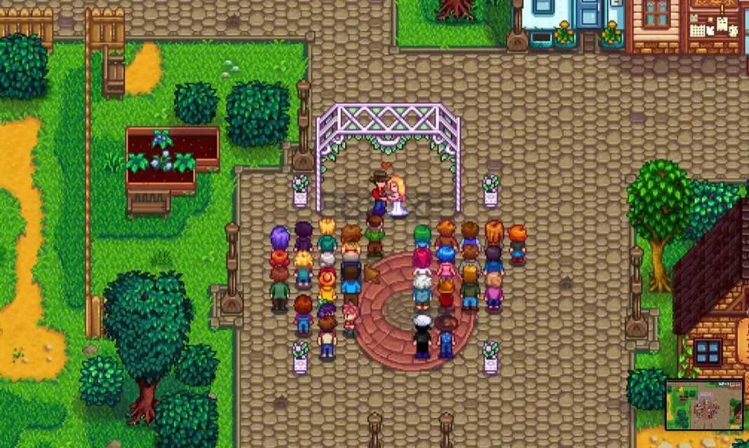 星露谷物语怎么跟海莉结婚