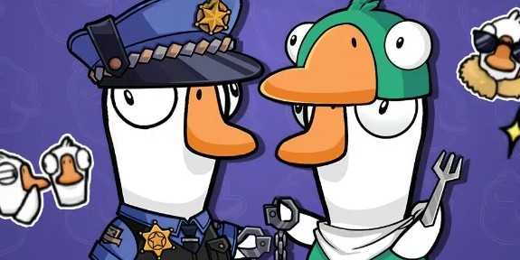 鹅鸭杀布谷鸟下蛋位置建议分享