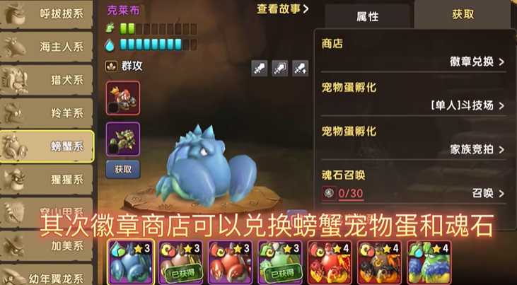 新石器时代宠物阵容有什么推荐