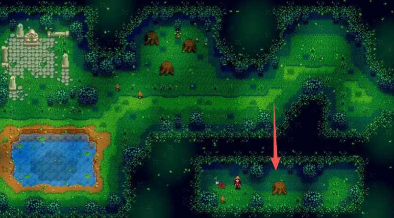 星露谷物语硬木在哪里刷 星露谷物语硬木在哪里刷