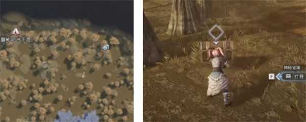 荒原曙光瘴气沼泽隐藏宝箱全收集汇总