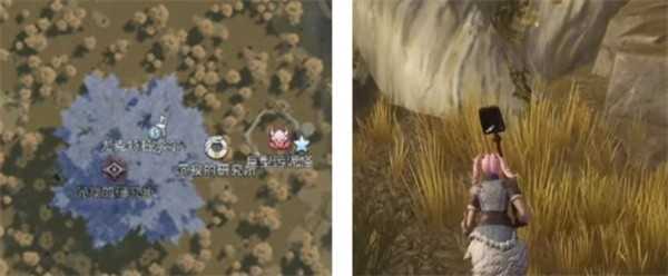 荒原曙光瘴气沼泽隐藏宝箱全收集汇总