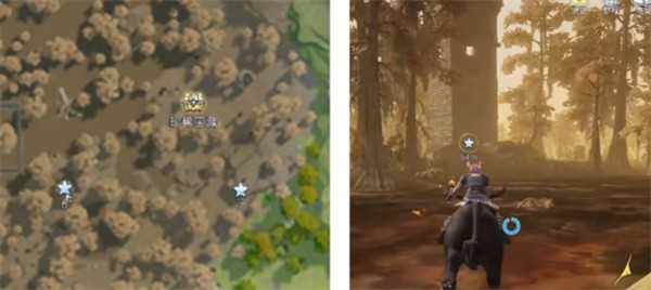 荒原曙光瘴气沼泽隐藏宝箱全收集汇总