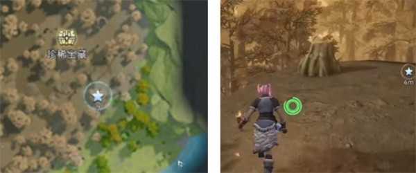 荒原曙光瘴气沼泽隐藏宝箱全收集汇总