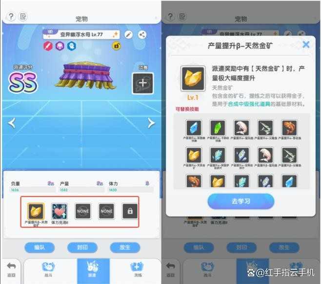 仙境传说重生开荒冲级指南