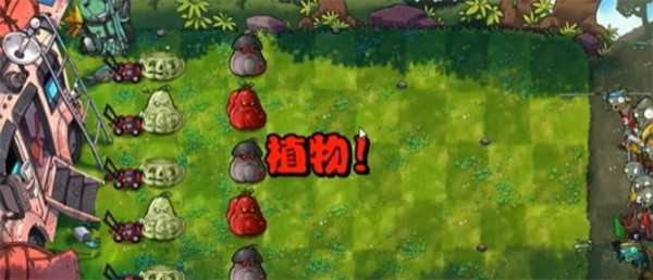 植物大战僵尸融合版爆炸窝瓜玩法介绍